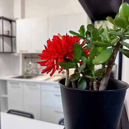 La Casa Di Leo 公寓